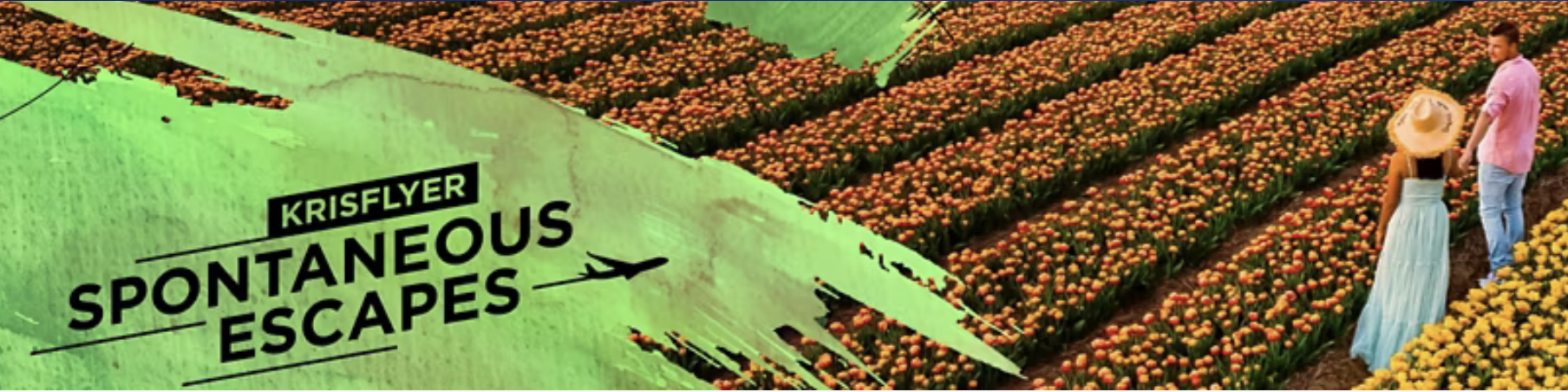 a painting of a plane in a field of orange flowers