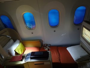 Air India Boeing 787-8 Business Class Bed