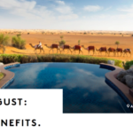 a group of camels walking past a pool