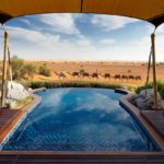 a pool with camels in the background