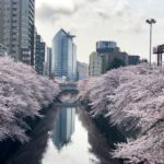 a river with trees in the middle of a city