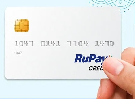 a hand holding a credit card