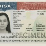 This image shows a sample of a United States visa. It includes a photo of a person on the left and various details on the right, such as issuing post name, surname, given name, passport number, nationality, sex, birth date, visa type/class, issue date, and expiration date. The word "SPECIMEN" is printed across the bottom. The background features a faint image of the U.S. Capitol building.